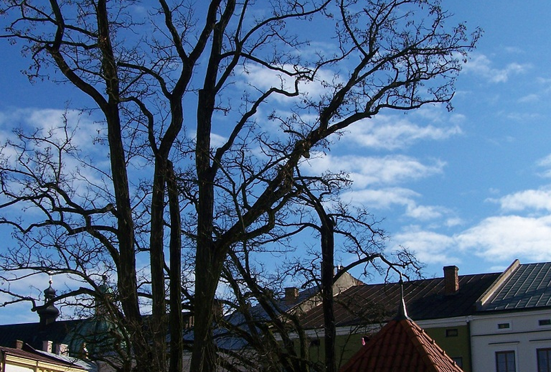 Krosno