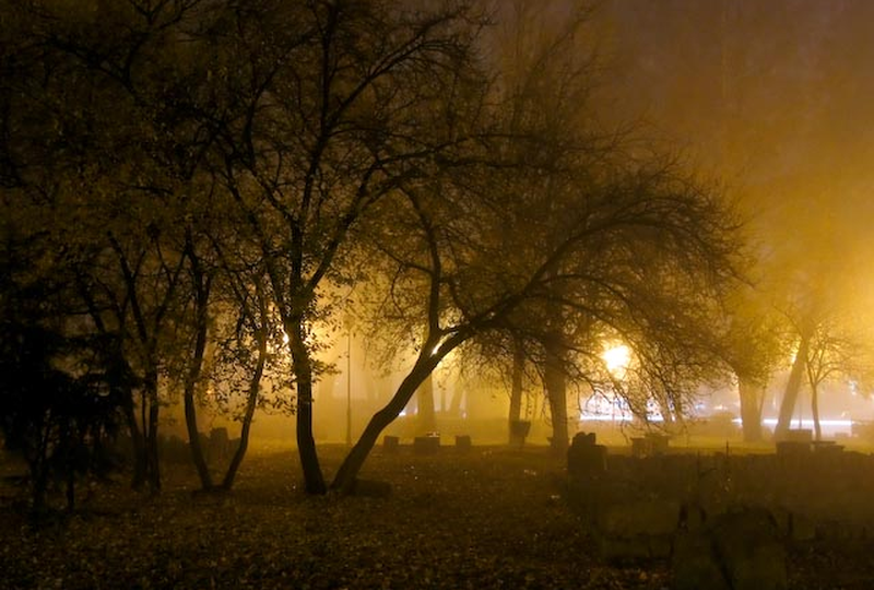 Starachowice