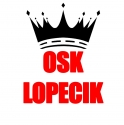 OSK LOPECIK Dariusz Madej