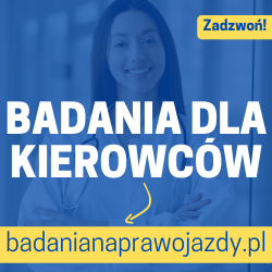 badanianaprawojazdy.pl